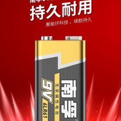 南孚 9V九伏碱性电池6F22万用表方块电池6LR61适用于无线话筒/玩具遥控器/无线门铃/烟雾报警 2粒装-